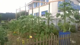 WP_20170624_11_.webp