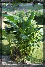 comp_DSC03313.webp