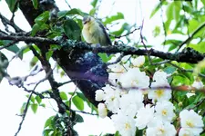 DSCF9290 (2).webp