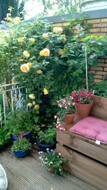 1152_3436613064646565.webp