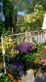 1152_6565396566383161.webp
