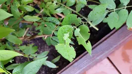 20170625_083419.webp