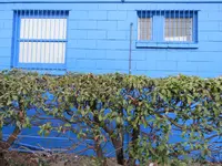 IMG_7765v (2).webp