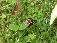 BILD7327.webp