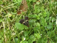 BILD7328.webp