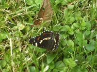 BILD7329.webp