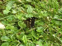 BILD7333.webp