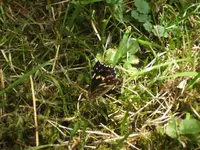 BILD7334.webp
