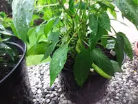 20170625_201303.jpg