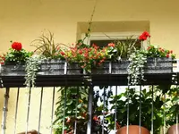 P1020034(1).webp
