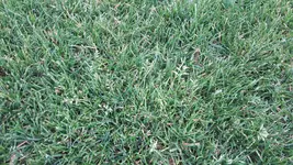20170625_203546.webp