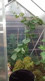 IMG_20170625_205751546.jpg