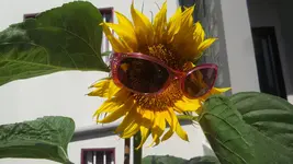 20170626_103436.webp