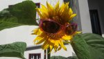 20170626_103436.jpg