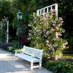 Rankgerüst für Rosen mit einer Sitzbank am Viktor Wallner Platz.jpg
