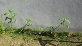20170626_103624.webp