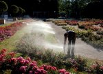 Überprüfung der versenkbaren  RAIN BIRD - Sprühdüsenköpfe.jpg
