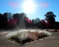 RAIN BIRD - Versenksprühregner im Rosarium Baden - 7.webp
