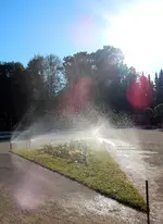 RAIN BIRD Versenksprühregner im Rosarium Baden - 3.webp