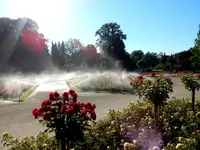 RAIN BIRD Versenksprühregner im Rosarium Baden - 8.webp