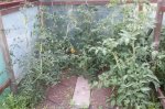 2017-06-26_12.35.13.jpg