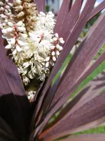 P1010156 (2).webp