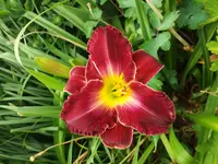 20170626_075111.jpg