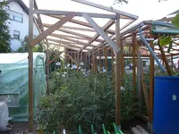 P1020650.webp