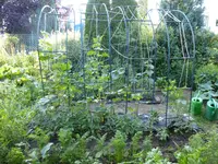P1020660.webp