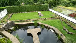 IMG_20170609_090525.jpg