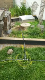 IMG_20170607_120422.jpg