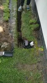 IMG_20170609_165444.jpg