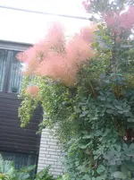 DSC04303.webp