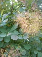 DSC04304.webp
