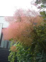 DSC04305.webp