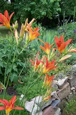 100_4311.webp