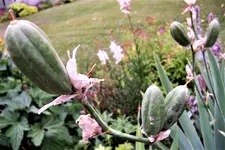 100_4312.JPG