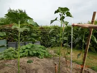 DSC01104.jpg