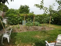DSC01109.webp