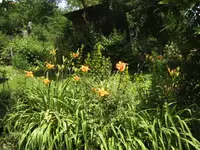 BILD7184.webp