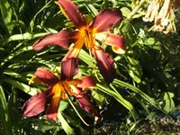 BILD7349.webp