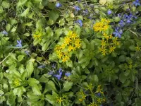 BILD7152.webp