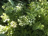 BILD7206.webp