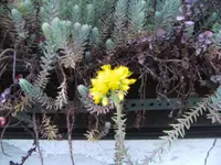 BILD7205.webp