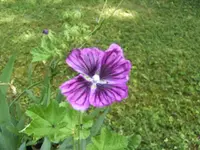 BILD7297.webp