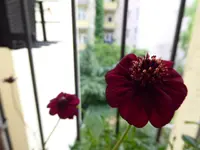 P1020062.webp