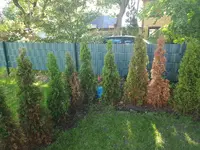 20170602_165748.webp