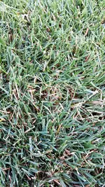 PHOTO_20170627_194124.webp