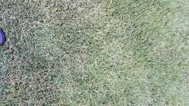PHOTO_20170627_194120.webp