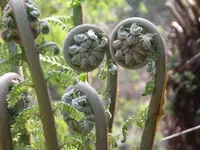 IMGP2944.webp